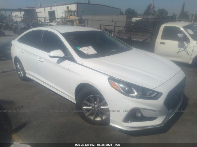 HYUNDAI SONATA 2019 5npe24af9kh764980