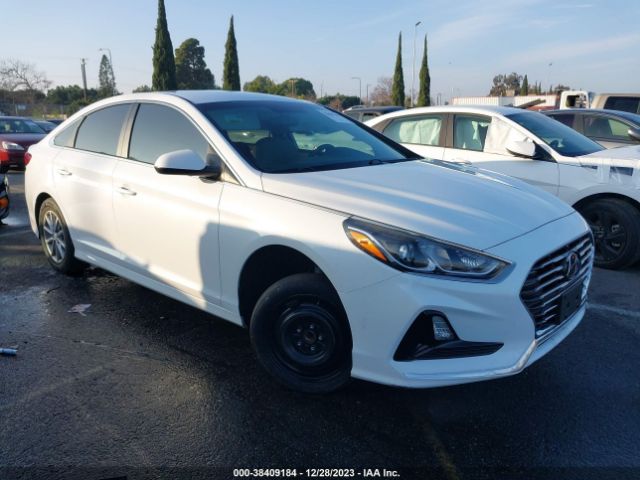 HYUNDAI SONATA 2019 5npe24af9kh766759