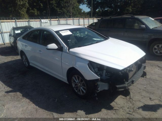 HYUNDAI SONATA 2019 5npe24af9kh768205