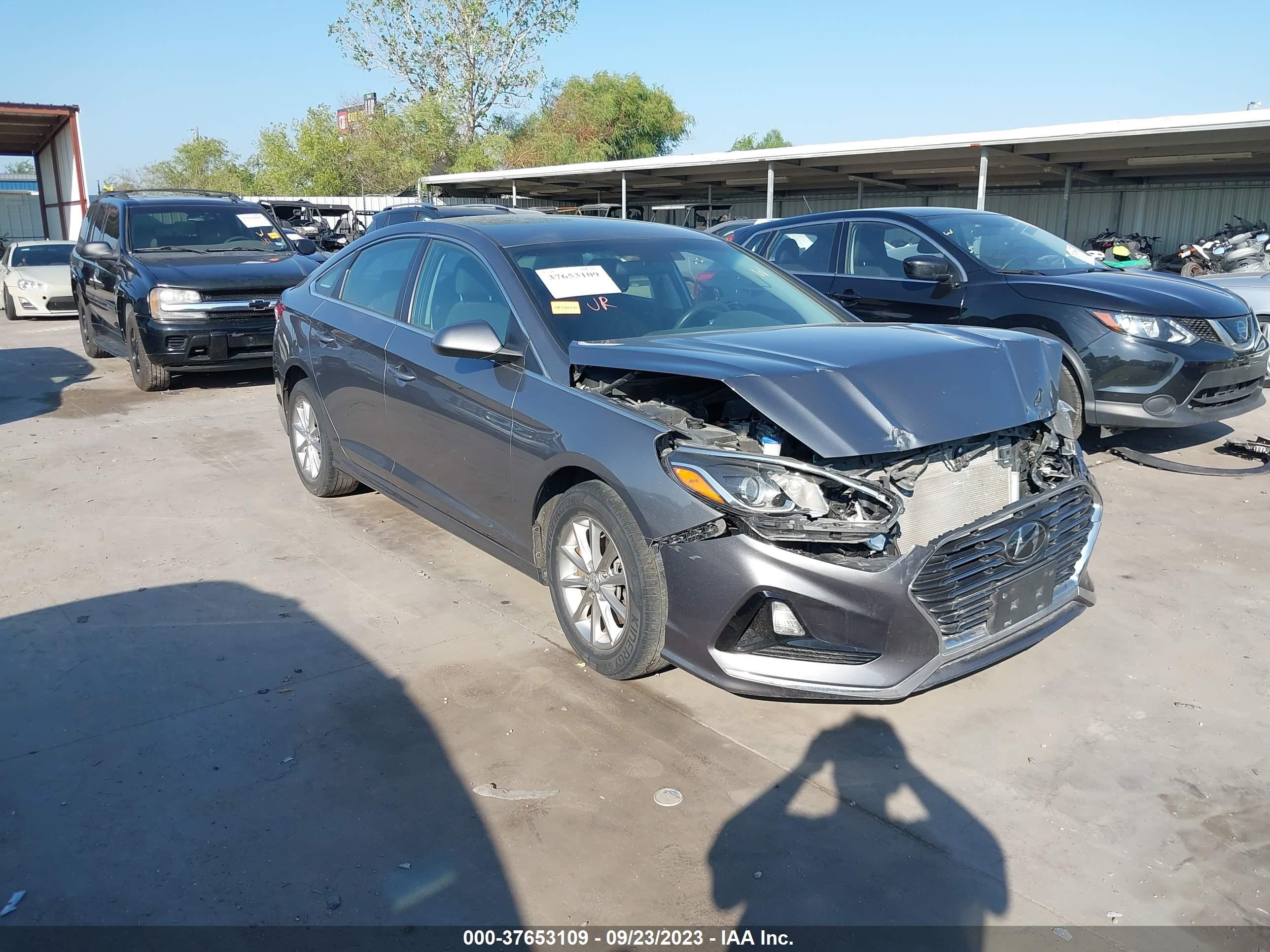 HYUNDAI SONATA 2019 5npe24af9kh768267