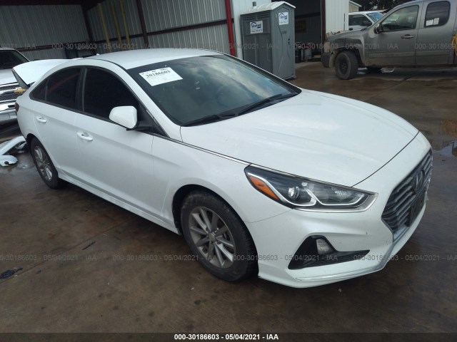 HYUNDAI SONATA 2019 5npe24af9kh770679