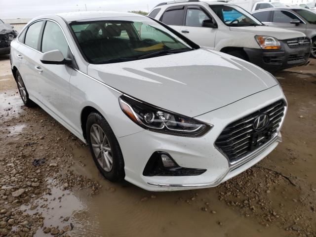 HYUNDAI SONATA SE 2019 5npe24af9kh771265