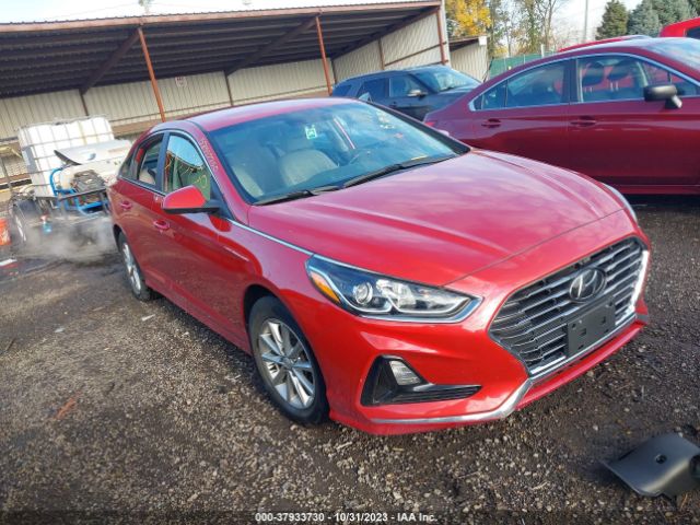 HYUNDAI SONATA 2019 5npe24af9kh772948