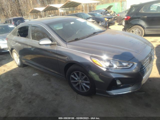 HYUNDAI SONATA 2019 5npe24af9kh776420