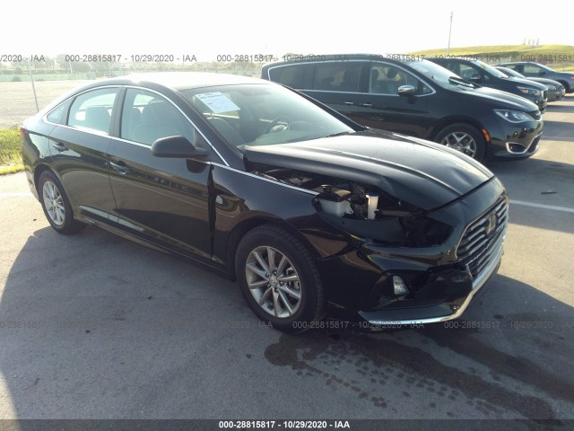 HYUNDAI SONATA 2019 5npe24af9kh779186