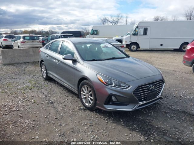 HYUNDAI SONATA 2019 5npe24af9kh779799