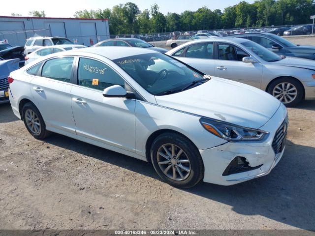 HYUNDAI SONATA 2019 5npe24af9kh780760