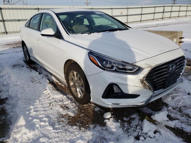 HYUNDAI SONATA SE 2019 5npe24af9kh789488