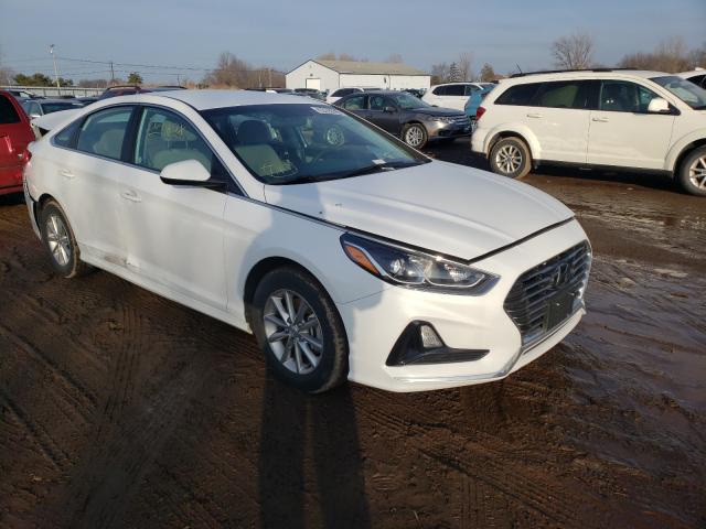 HYUNDAI SONATA SE 2019 5npe24af9kh790138