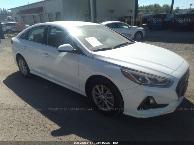 HYUNDAI SONATA 2019 5npe24af9kh793024