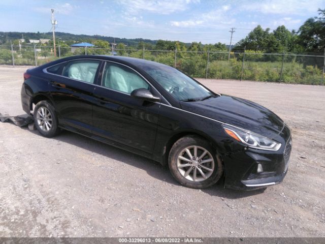 HYUNDAI SONATA 2019 5npe24af9kh797526