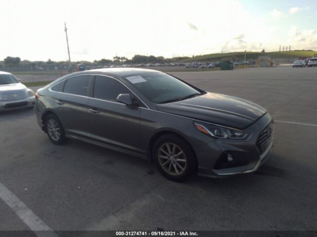 HYUNDAI SONATA 2019 5npe24af9kh798658