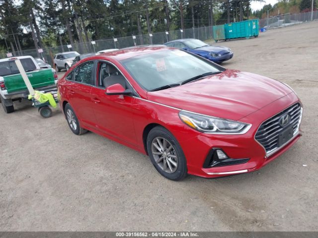 HYUNDAI SONATA 2019 5npe24af9kh799549