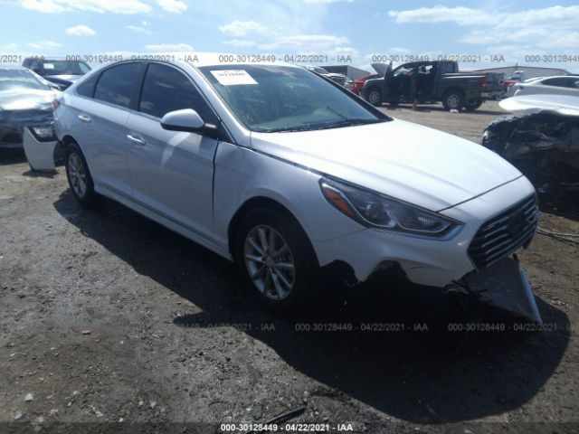 HYUNDAI SONATA 2019 5npe24af9kh800263