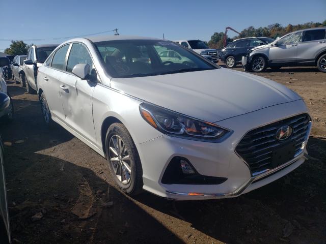 HYUNDAI SONATA SE 2019 5npe24af9kh802191