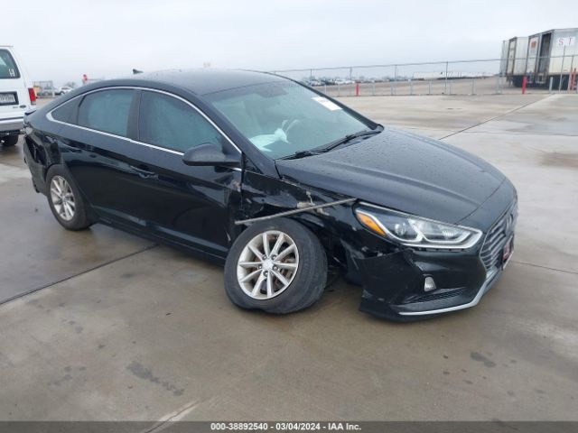 HYUNDAI SONATA 2019 5npe24af9kh806337