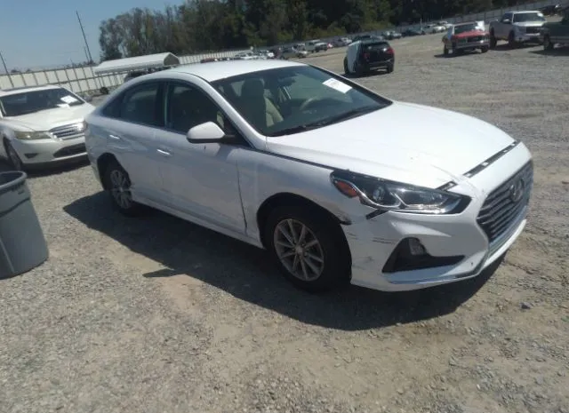 HYUNDAI SONATA 2019 5npe24af9kh813370