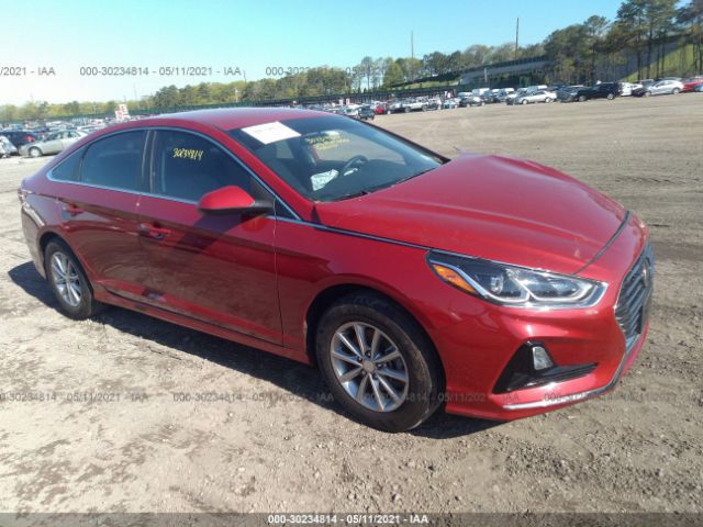 HYUNDAI SONATA 2019 5npe24af9kh815815