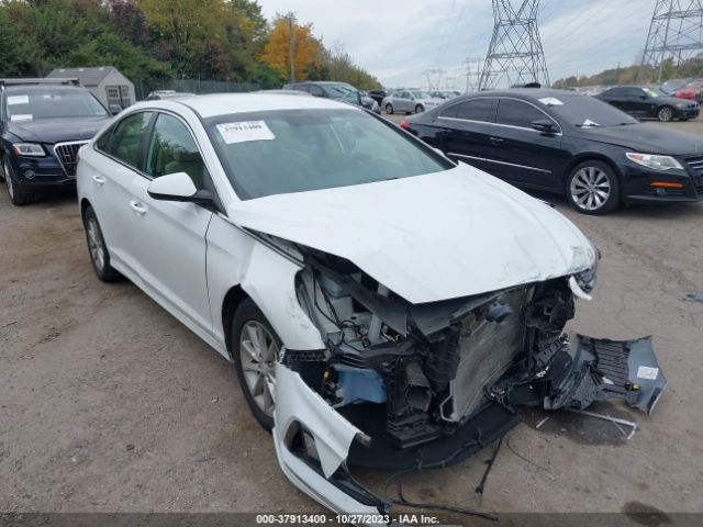 HYUNDAI SONATA 2019 5npe24af9kh817337