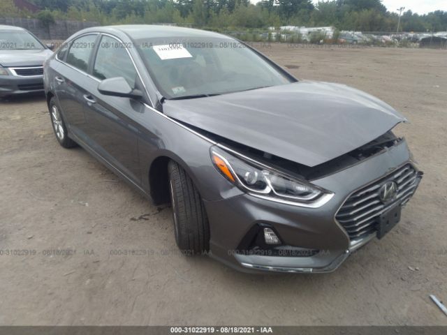 HYUNDAI SONATA 2019 5npe24af9kh817869