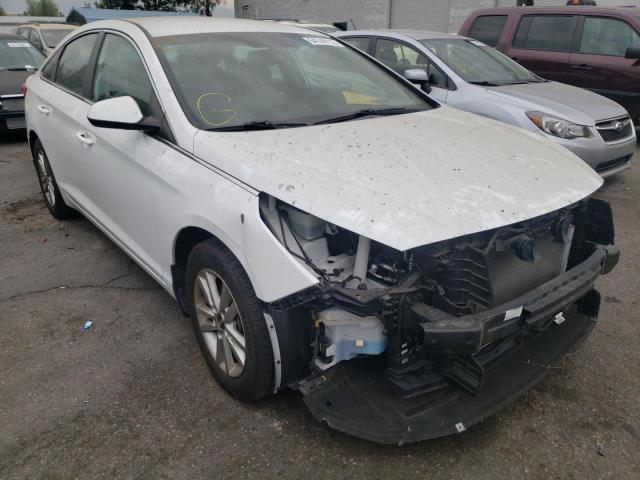 HYUNDAI SONATA SE 2015 5npe24afxfh005468