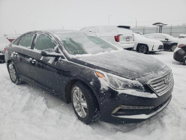 HYUNDAI SONATA SE 2015 5npe24afxfh044626