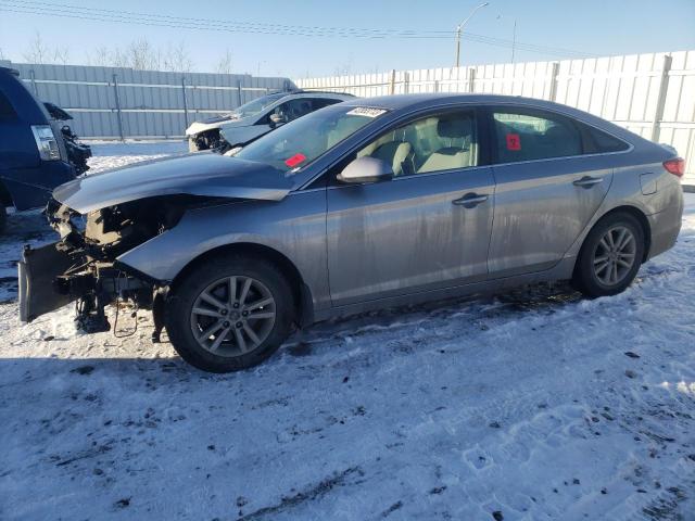 HYUNDAI SONATA SE 2015 5npe24afxfh050586