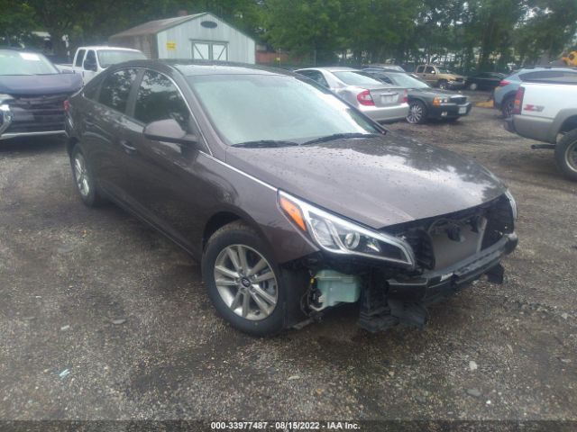 HYUNDAI SONATA 2015 5npe24afxfh135928