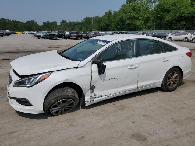 HYUNDAI SONATA SE 2015 5npe24afxfh148484