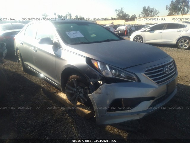 HYUNDAI SONATA 2015 5npe24afxfh168332