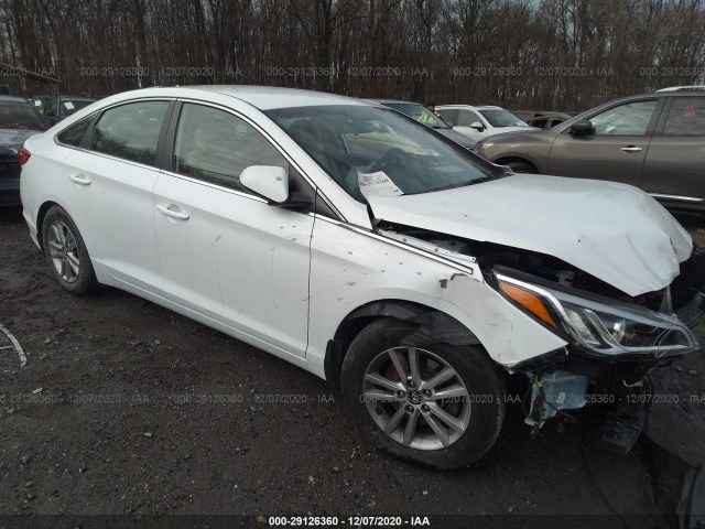 HYUNDAI SONATA 2015 5npe24afxfh203631