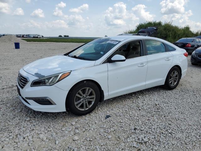 HYUNDAI SONATA 2015 5npe24afxfh207856