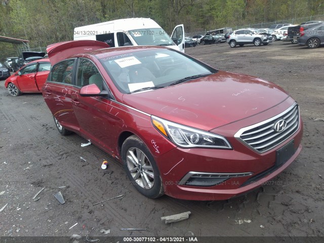 HYUNDAI SONATA 2015 5npe24afxfh228528