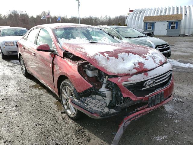 HYUNDAI SONATA SE 2015 5npe24afxfh234765