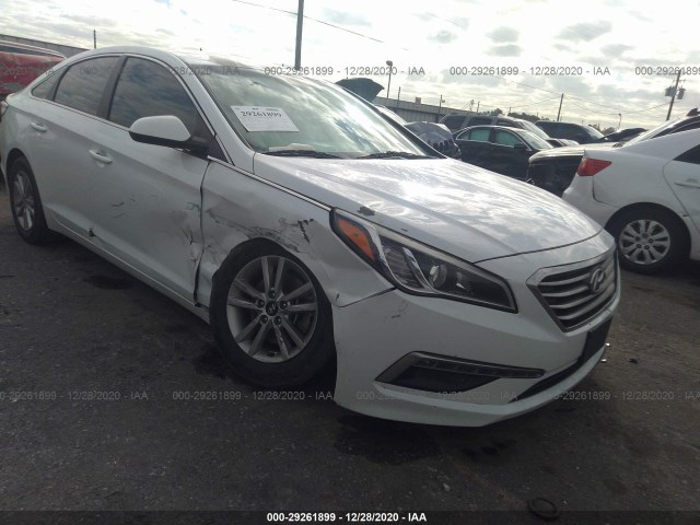 HYUNDAI SONATA 2015 5npe24afxfh244499