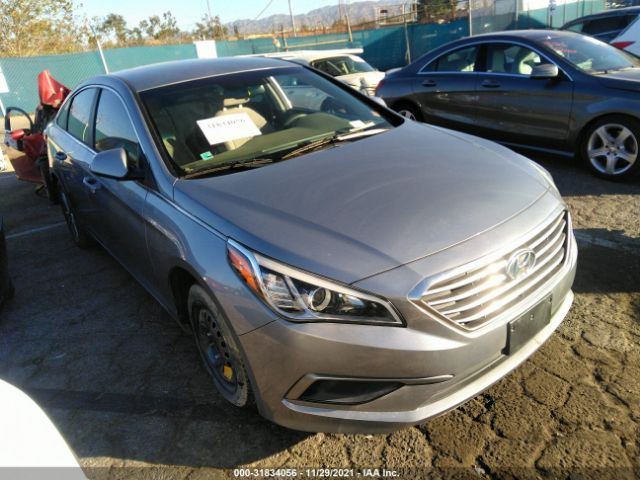 HYUNDAI SONATA 2016 5npe24afxgh261286