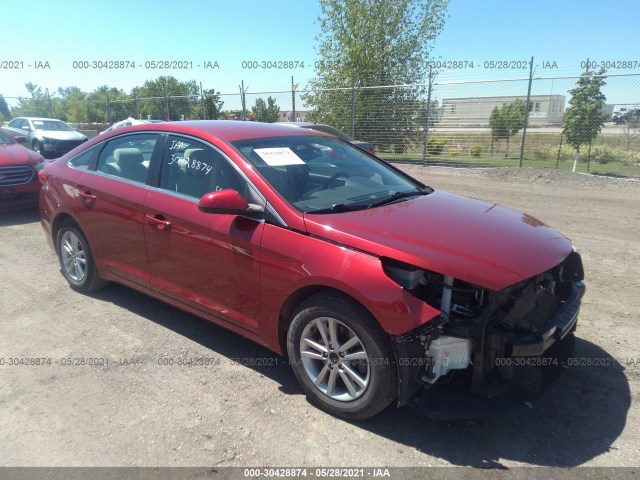 HYUNDAI SONATA 2016 5npe24afxgh290979