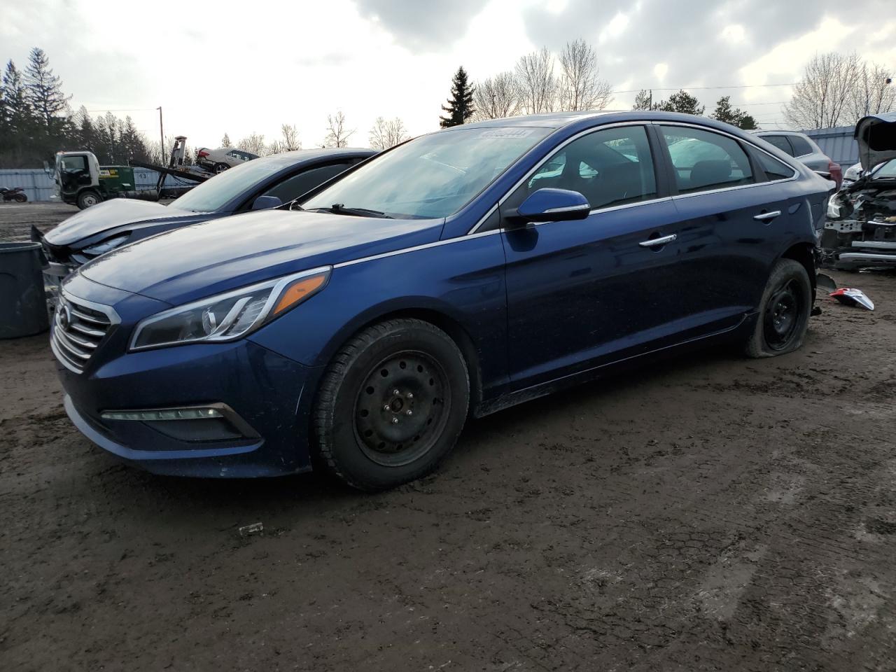 HYUNDAI SONATA 2016 5npe24afxgh293431