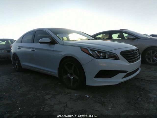 HYUNDAI SONATA 2016 5npe24afxgh294188