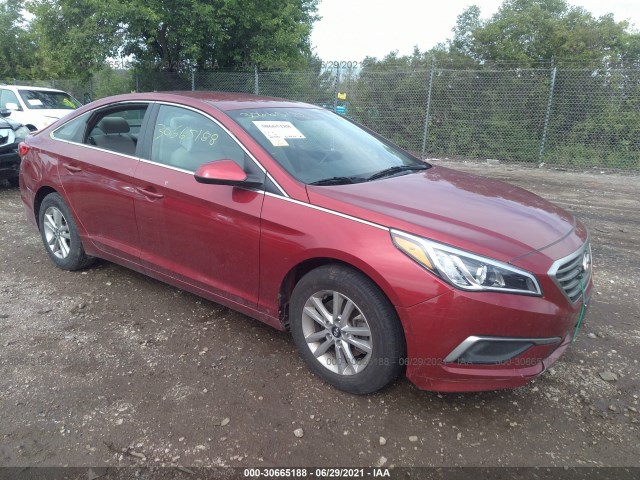 HYUNDAI SONATA 2016 5npe24afxgh299133