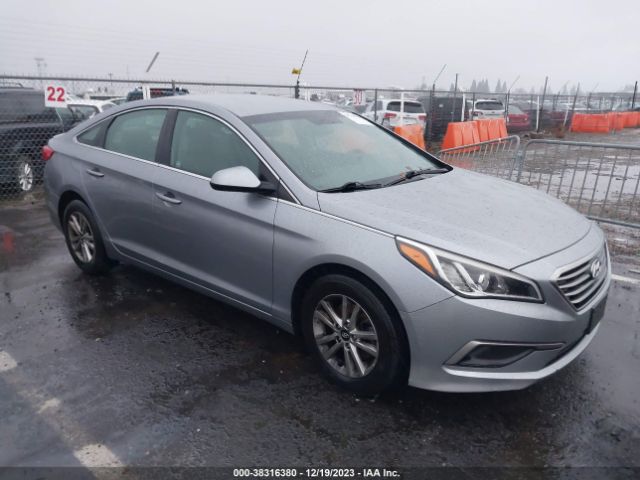 HYUNDAI SONATA 2016 5npe24afxgh302113