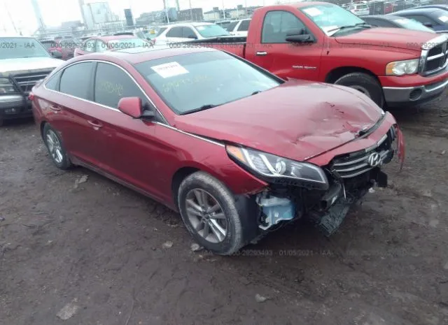 HYUNDAI SONATA 2016 5npe24afxgh302273