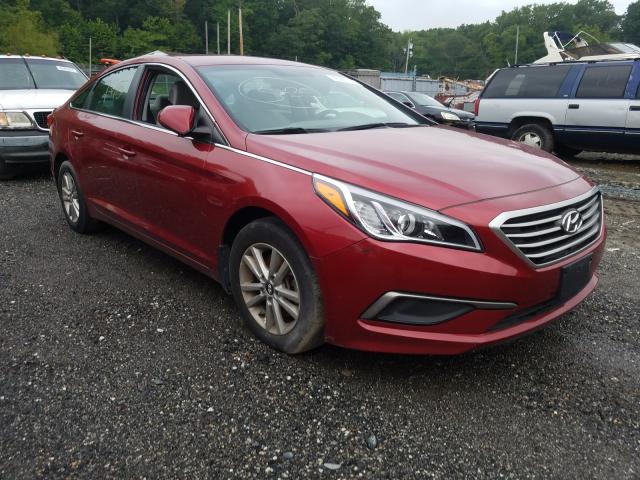 HYUNDAI SONATA SE 2016 5npe24afxgh305464