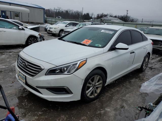 HYUNDAI SONATA SE 2016 5npe24afxgh310258