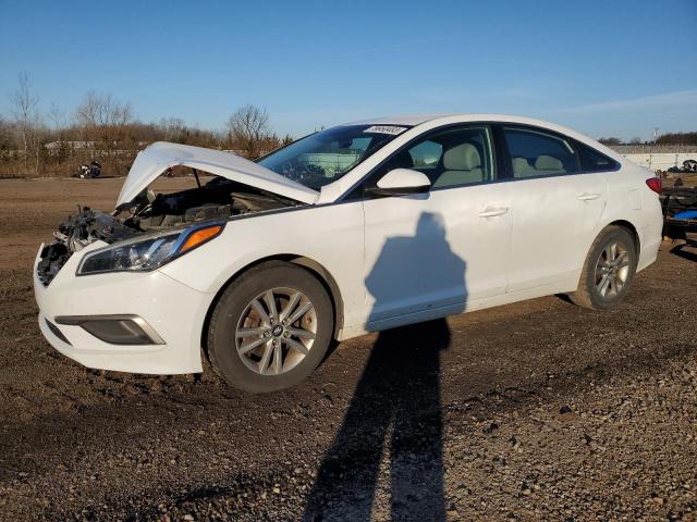 HYUNDAI SONATA 2016 5npe24afxgh316934