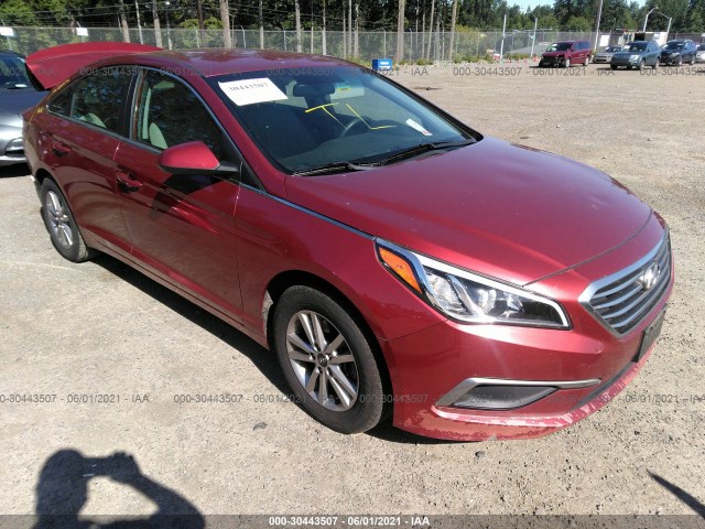 HYUNDAI SONATA 2016 5npe24afxgh317100