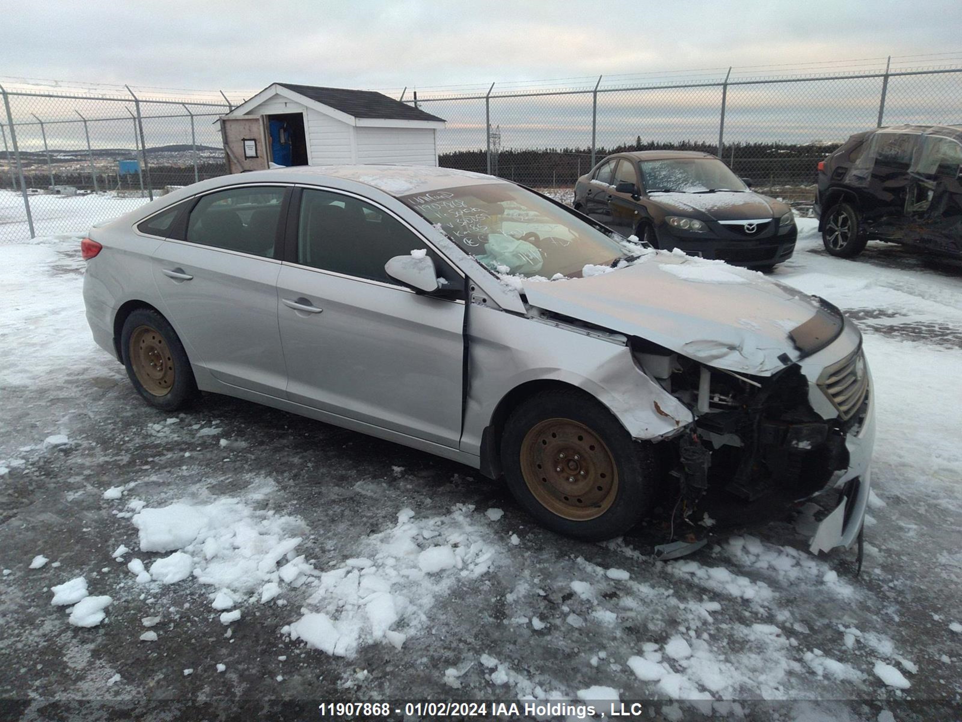 HYUNDAI SONATA 2016 5npe24afxgh320059