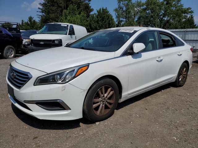 HYUNDAI SONATA 2016 5npe24afxgh323348