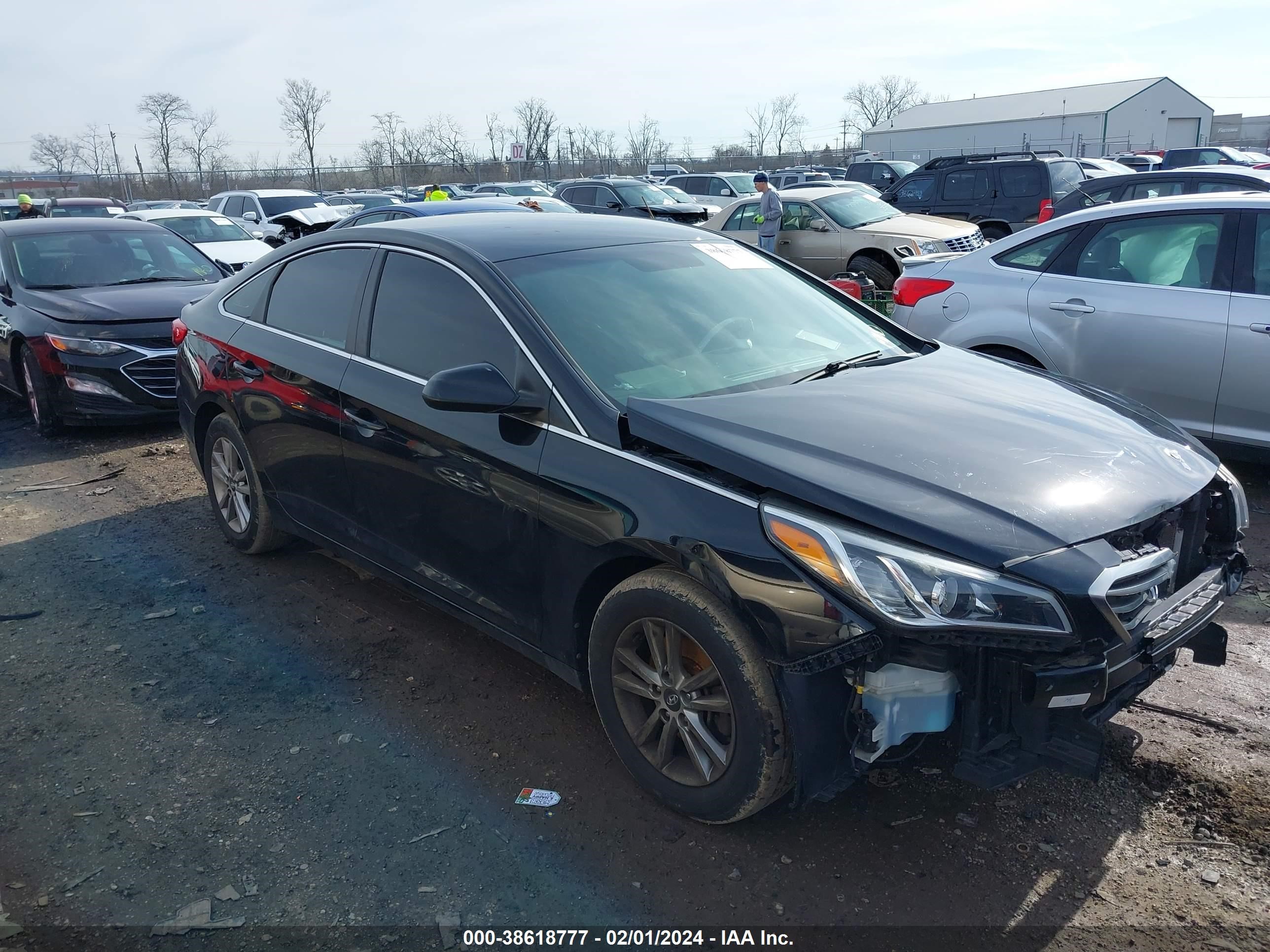 HYUNDAI SONATA 2016 5npe24afxgh328467