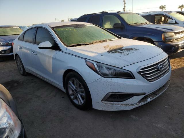 HYUNDAI SONATA SE 2016 5npe24afxgh331188